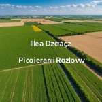 Ile za dzierżawę 1 ha 2024: Prognozy i wskazówki dla rolników